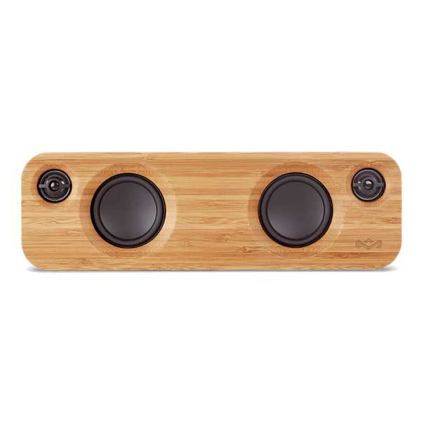 Mini 2