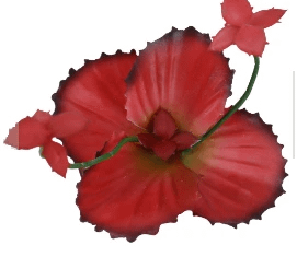 Artifical Flap Jack Succulent Plant