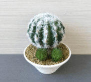 Artifical Flowers Cactus