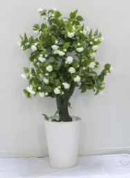 Artificial Gardenia Pot not included