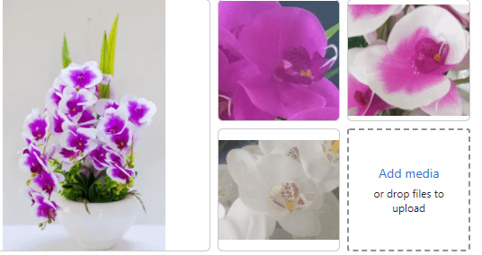 Artificial Giant Orchid Various Colours
