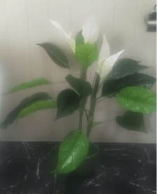 Artificial Madonna Lily Plant