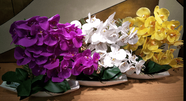 Artificial Moth Orchid with Boat Vase Various Colours