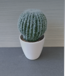 Artificial small cactus in pot various types