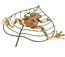 frog on leaf