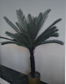 Artifical Canary Date Palm