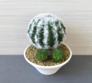 Artifical Flowers Cactus