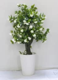 Artificial Gardenia Pot not included