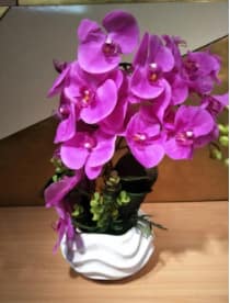 Artificial Large Moth Orchid Arrangements Various colours