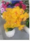 Artificial Large Orchid Arrangement Yellow