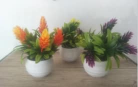 Artificial Mini Potted Coloured Plants