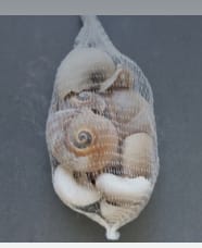 Bag of Shells