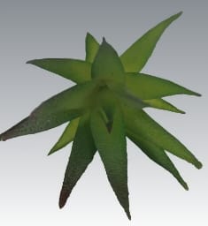 artificial agava succulent plant